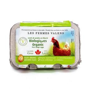 6 Oeufs Gros oeufs Bio vert