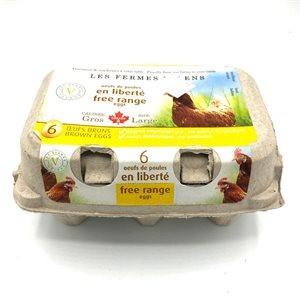 6 Oeufs Bruns Gros Naturels Jaune