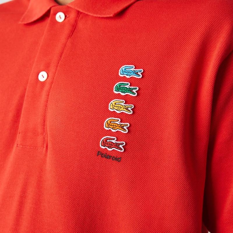 Polo lacoste avec clearance gros crocodile