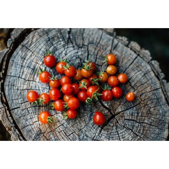 La collection de piments - Coffret de semences ancestrales – Le  nutritionniste urbain