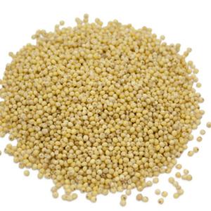Millet Decortiqué Bio