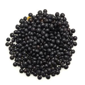 Lentilles Beluga Noires Bio
