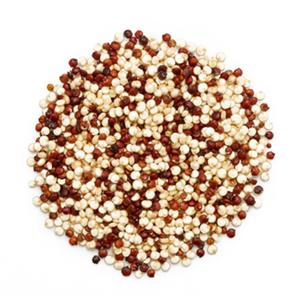 Quinoa Mélangé 3 Couleurs Bio
