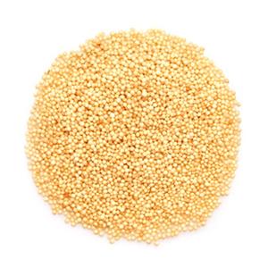 Amarante Bio