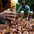 Poudre de Cacao Naturelle Bio 10-12%/Équitable
