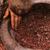 Poudre de Cacao Naturelle Bio 10-12%/Équitable
