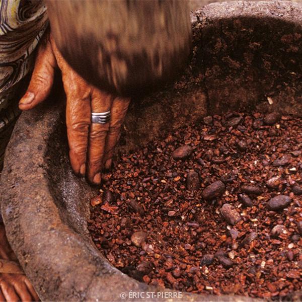 Poudre de cacao - Umano
