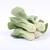 Bok Choy Bio