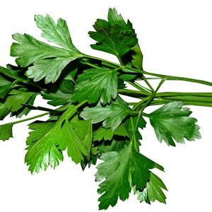 Persil Frais Bio