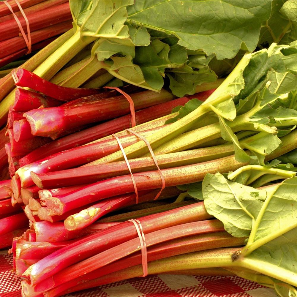 Rhubarbe Fraiche Bio 1lbs /u.