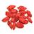 Baies de Goji Bio