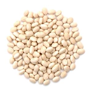 Haricots Blancs Bio