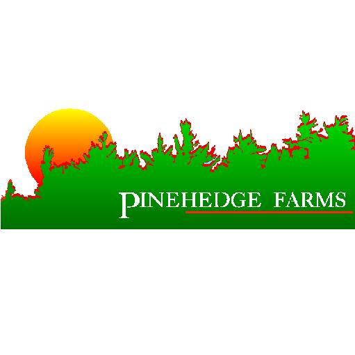 Pinhedge