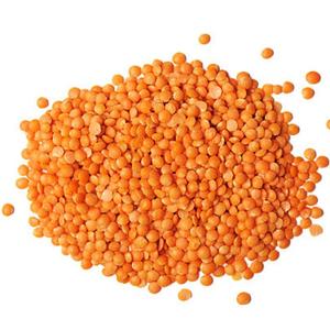 Lentilles Rouges Bio