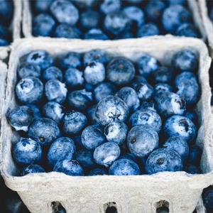 Bleuets Frais Bio Casseau