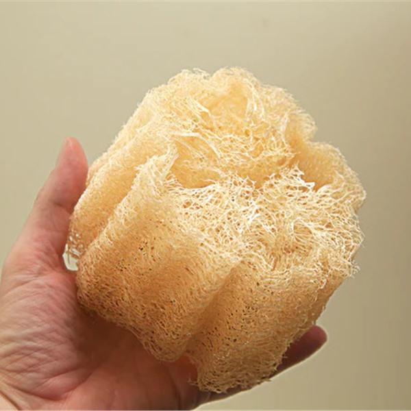 Éponge Luffa Entière /u.