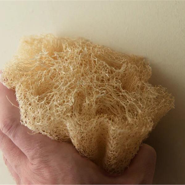 Éponge Luffa Entière /u.