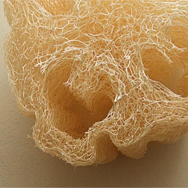 Éponge Luffa Entière /u.