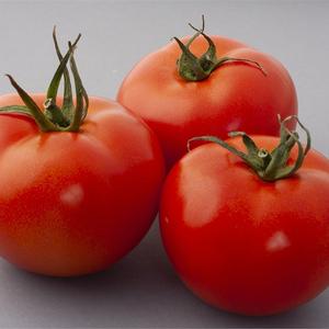 Tomates Bio