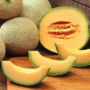 Melon Cantaloup Bio