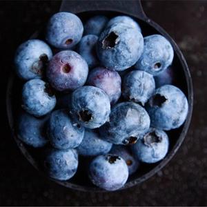 Bleuets Sauvage IQF Bio Congelés