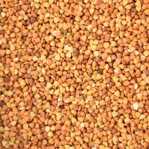 Sarrasin Rôti (Kasha) Bio