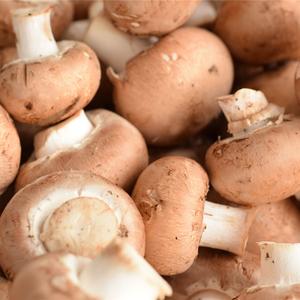 Champignons Café Conventionnels