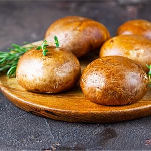 Champignons Portobelo