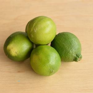 Lime Bio
