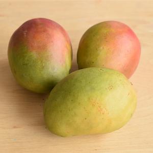 Mangue Grosse Bio