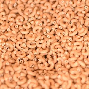 Macaroni Blé Entier Bio