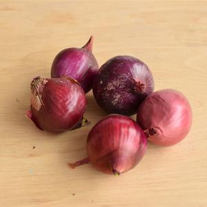 Oignons Rouges Bio