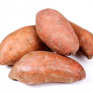 Patates Douces Bio