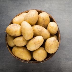Pommes de Terre - Patate Bio