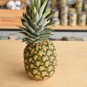 Ananas Bio