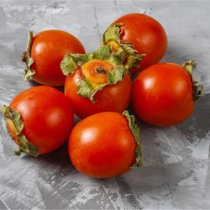 Kaki Bio