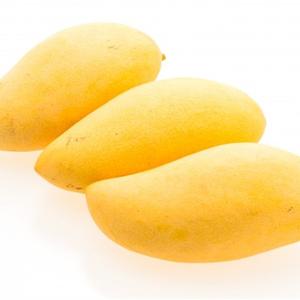 Mangue Ataulfo Bio