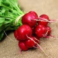 Radis Bio