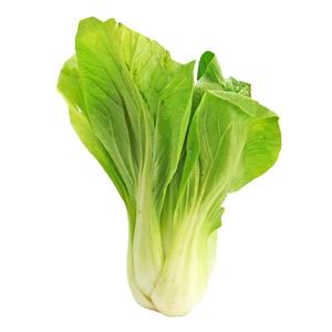 Bok Choy Bio