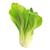 Bok Choy Bio