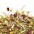 Tisane la Sublime Bio