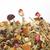 Tisane l'Éclatante Bio