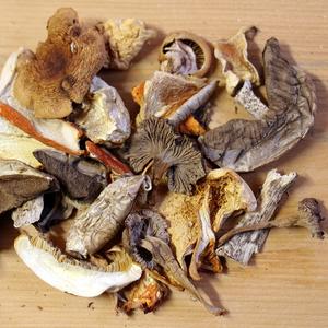 Champignon Mélange Forestier