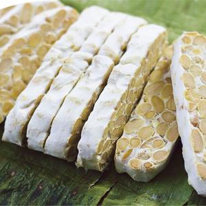 Tempeh Congelé Bio 240g