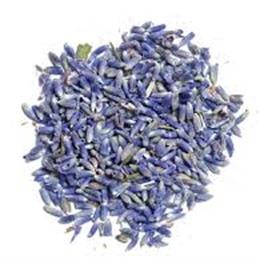 Lavande Fleurs Bio