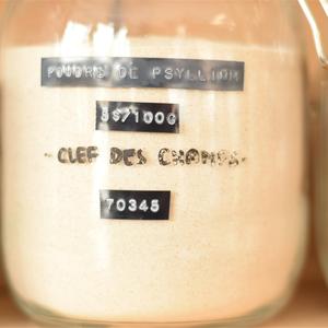 Psyllium en Poudre Bio