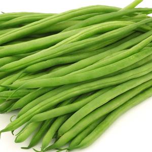 Haricots/Fêves Verts Bio