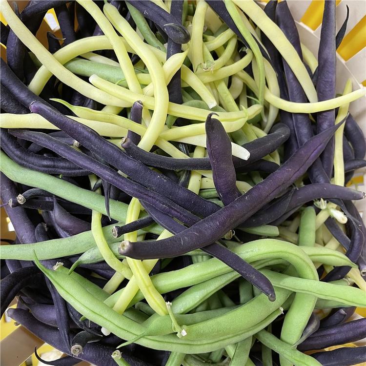 Haricots variés 400g