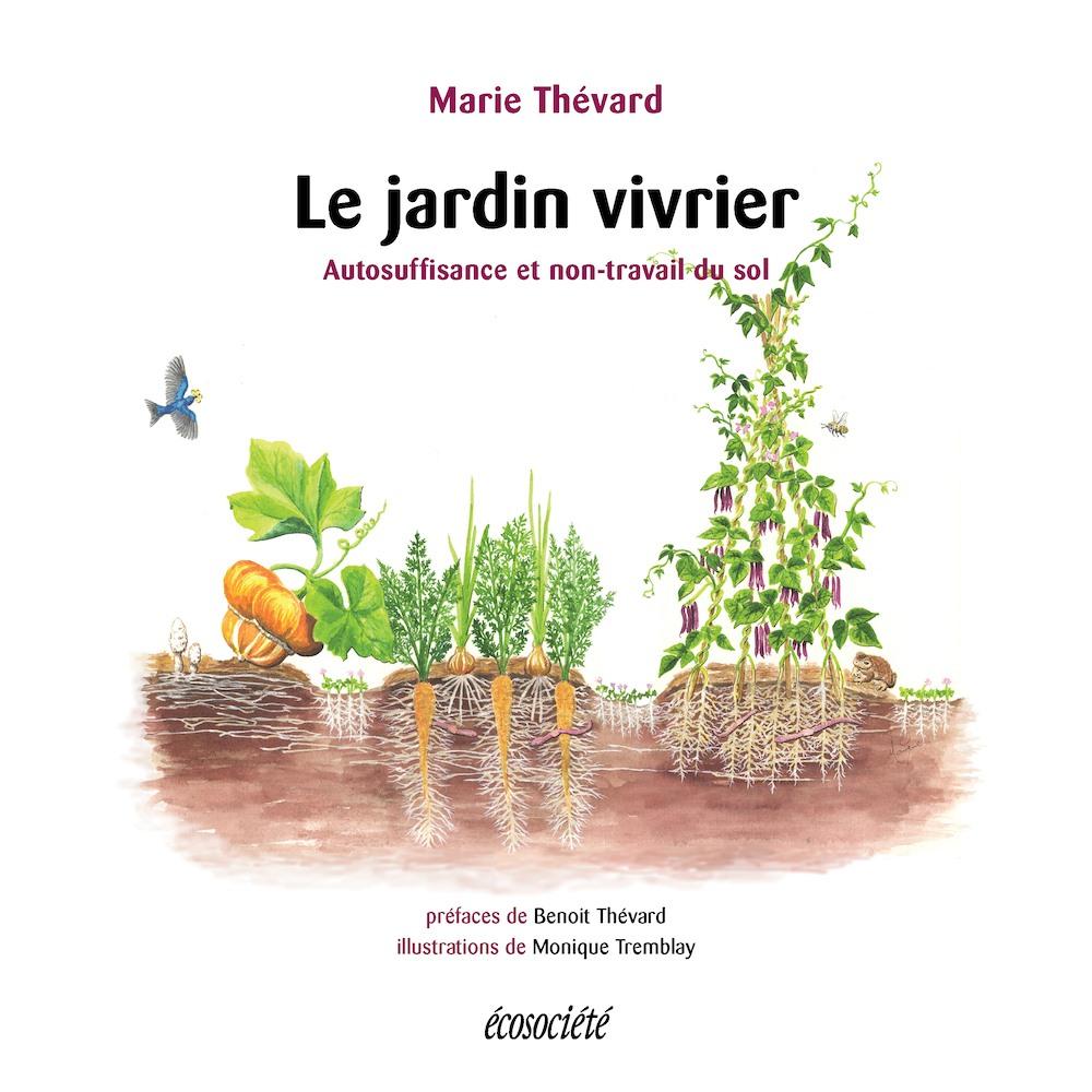 Origan grec - Bio - Jardins de l'écoumène