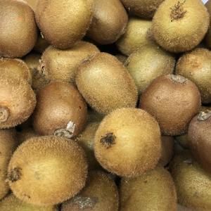 Kiwi  Bio